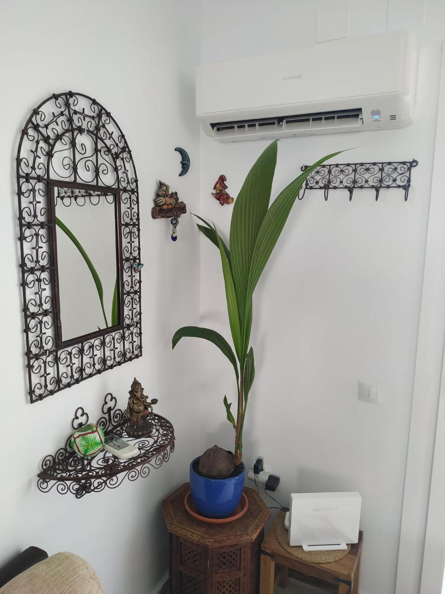 치클라나 데 라 프론테라 La Barrosa Duplex 빌라 외부 사진